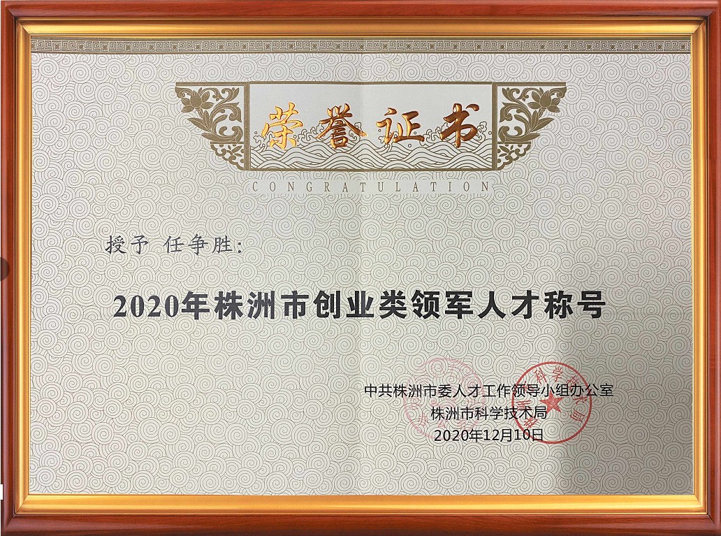 2020年株洲市创业类领军人才