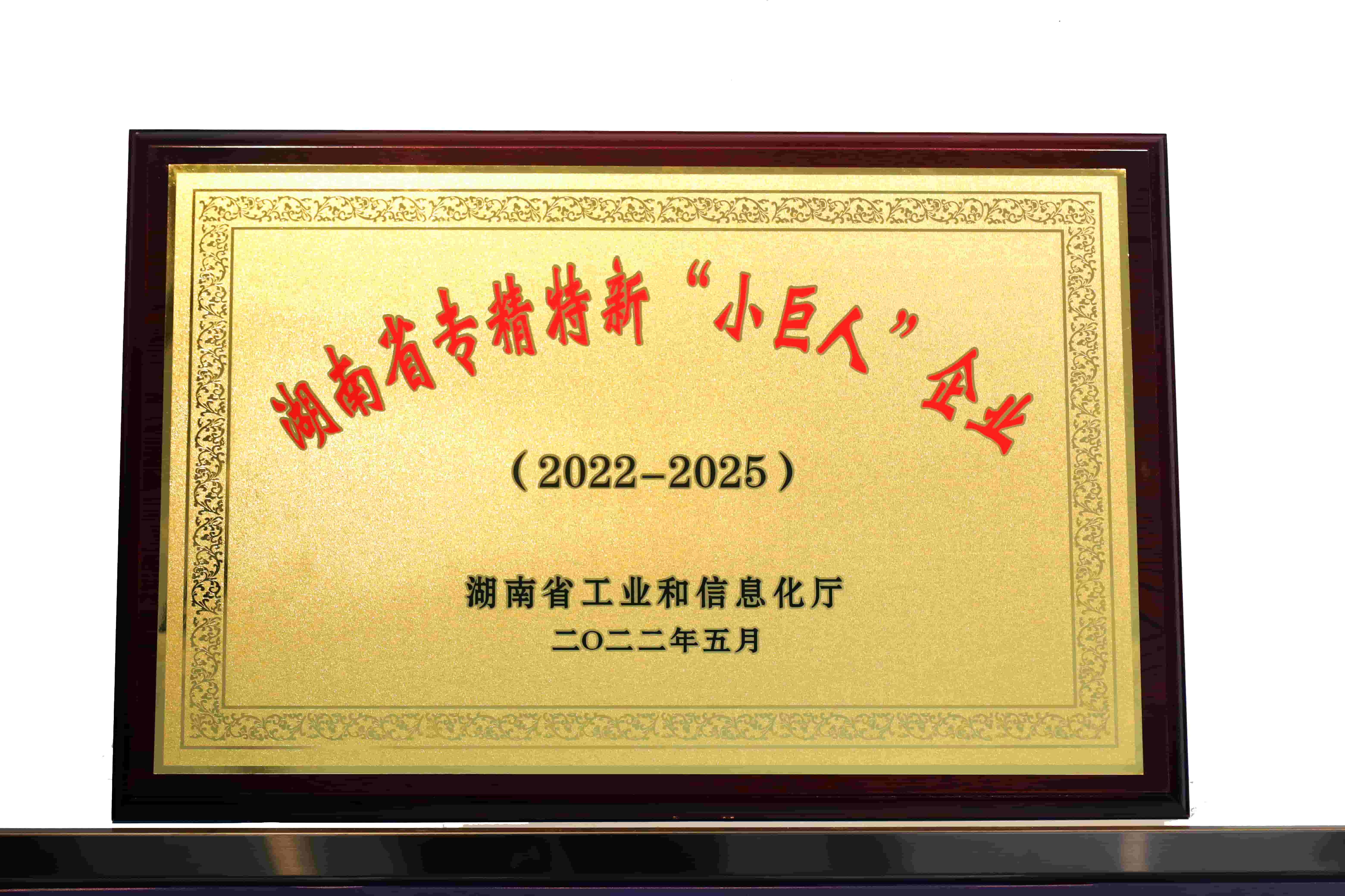 湖南省专精特新小巨人企业